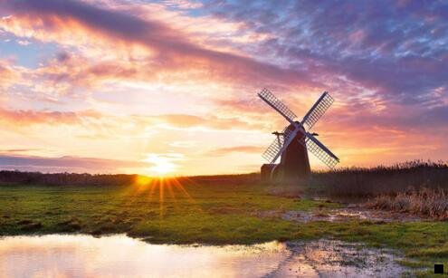 二马云如何评价粉象生活的