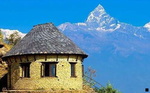 三马云如何评价粉象生活的