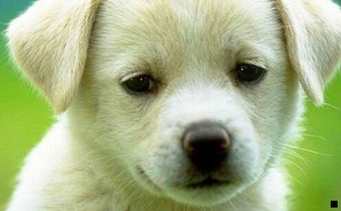 二粉象生活官网邀请码