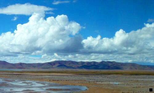 二粉象生活注销了怎么恢复