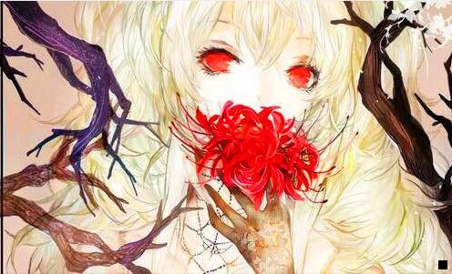 二粉象生活如何推广