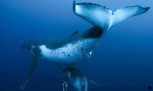 三杰赛科技有限公司