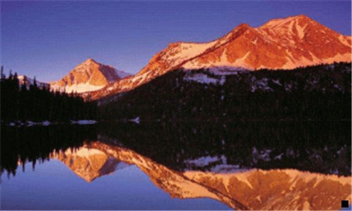 二如何在粉象领取优惠券