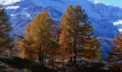 二马云如何评价粉象生活的