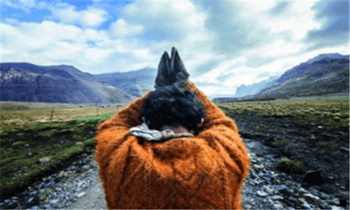 二做粉象推广很难