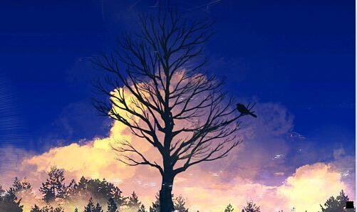 一粉象生活是什么软件