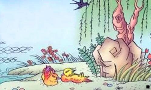 一粉象升不了VIP