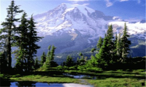 三欧洲啤酒品牌大全