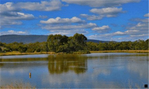 二粉象生活为什么提不了现