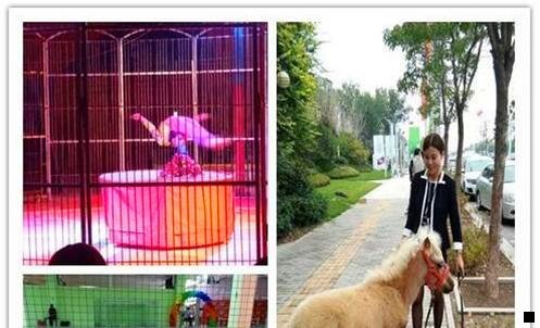 一深粉象啤酒好不好喝