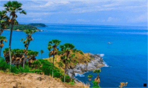 一粉象生活邀请码y玖559252