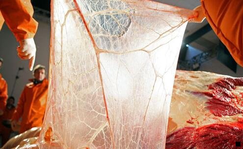 三粉象生活如何推广