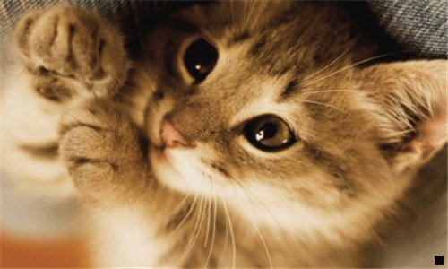 一粉象生活推广一个人赚多少钱