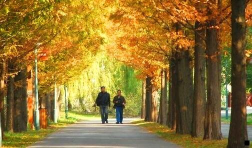 二厦门万象城品牌明细表