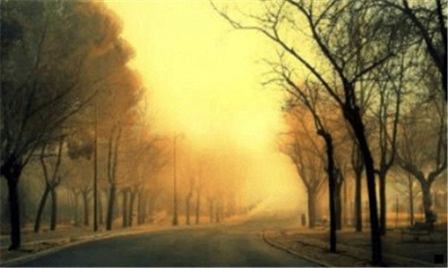 一粉象生活怎么看邀请人