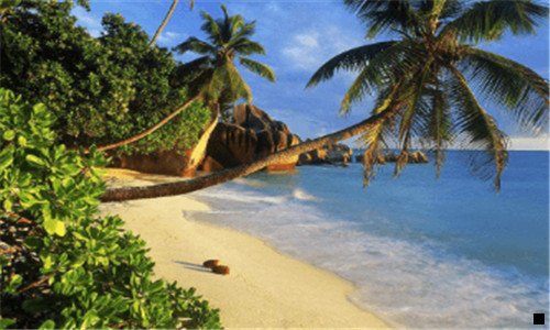 一中药喝了没啥效果