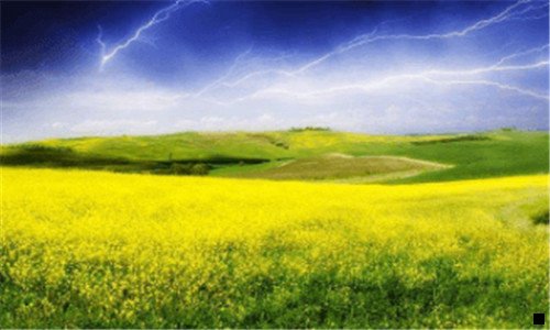 二粉象生活月入几万是真的吗