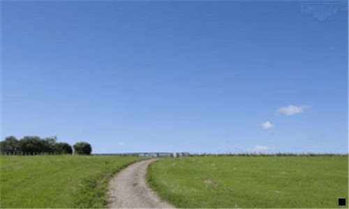 三拼多多是不是退出粉象了