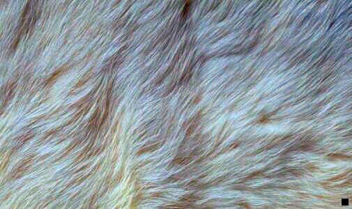 二为什么粉象提现不了