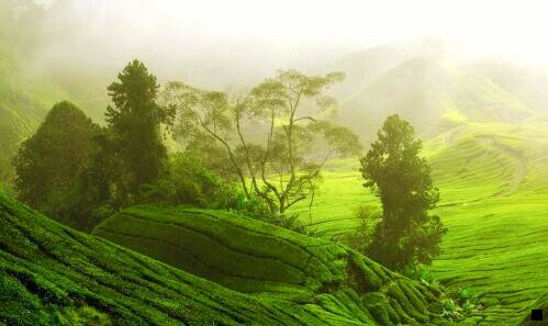 一粉象生活邀请码810560