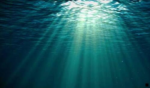 三新手粉象生活怎么赚钱