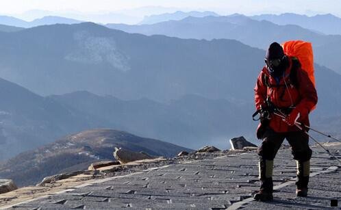 三粉象生活普通会员收益