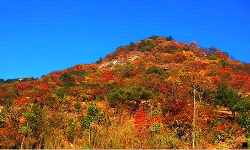 一粉象生活公司总部和分布在哪里