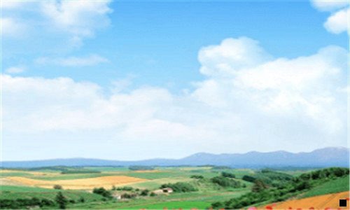 二马云如何评价粉象生活的