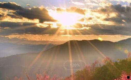 二粉象生活为什么提不了现