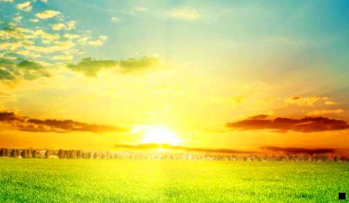 三粉象生活公司营业执照