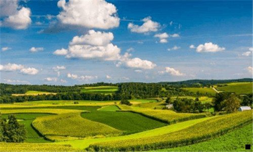 二粉象一般人能喝几瓶