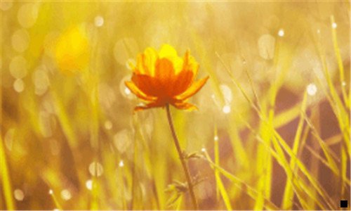 二粉象生活官网邀请码