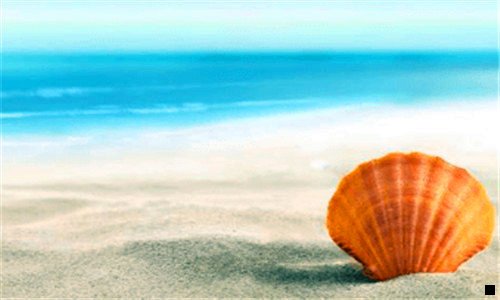 三粉象生活怎么自己注册邀请码