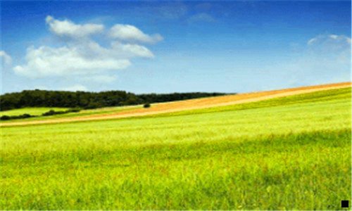 三粉象邀请码填谁的最好