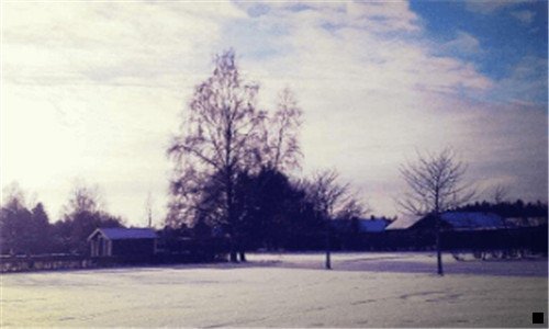 一粉象啤酒保质期几年