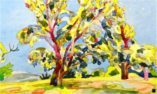 二粉象生活礼包