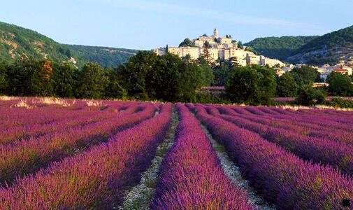 一粉象生活26号可以提现吗