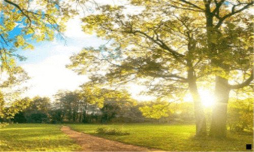 二粉象生活vip可以退款