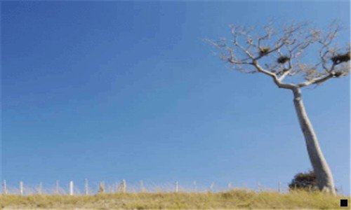 三粉象生活为什么提不了现