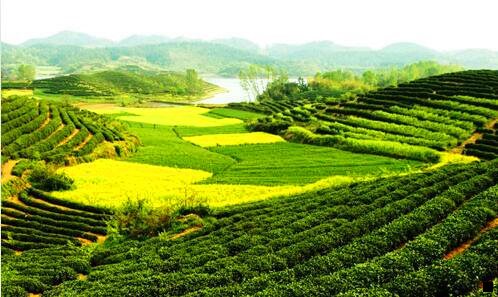 一粉象生活客服微fxsh33