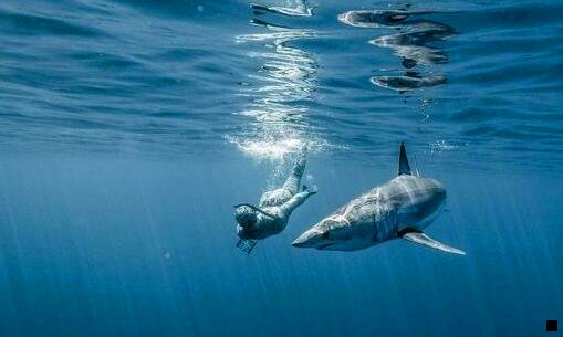 一粉象生活公司叫什么