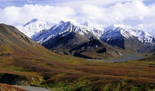 三粉象一般人能喝几瓶