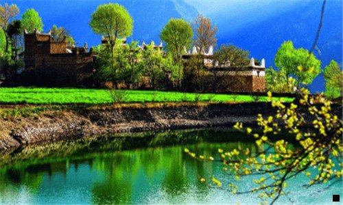 二粉象生活目前团队哪个好