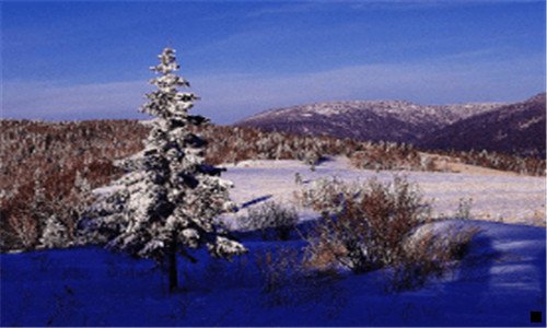 二粉象生活怎么换绑微信号