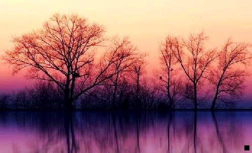 二粉象生活没有邀请码怎么办