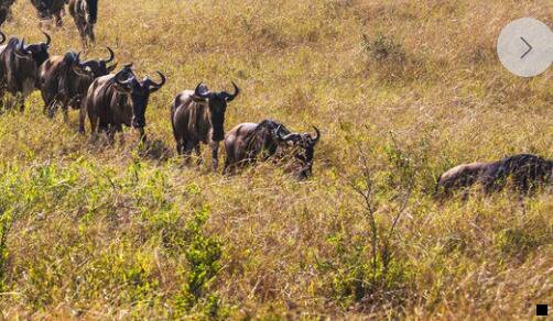 二粉象生活没有邀请码怎么办
