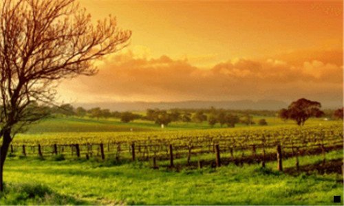 三粉象生活能看到粉丝订单吗