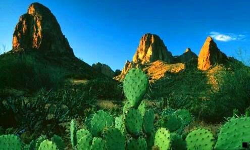 二粉象生活如何推广