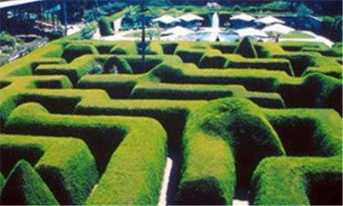 一粉象生活和环球捕手的区别