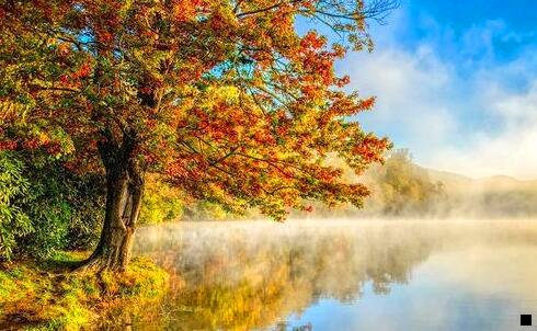 一粉象app下载应用